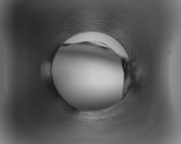 X0000089450041200706291451