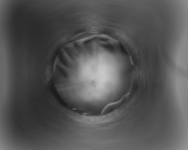 X0000089450043200706291451