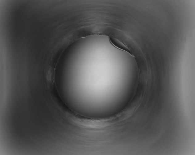 X0000089450044200706291451