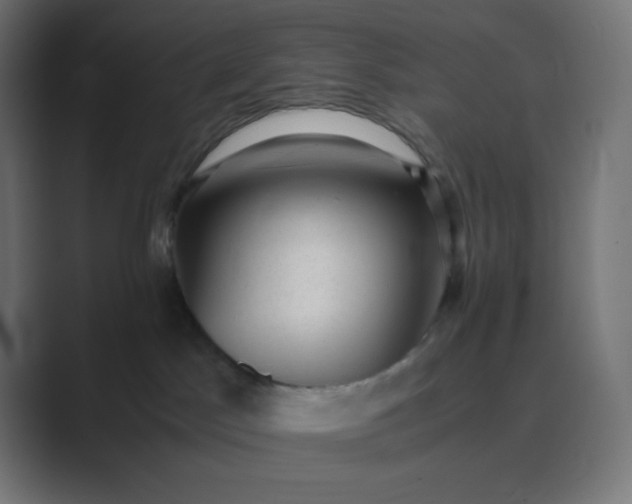 X0000089450045200706291451