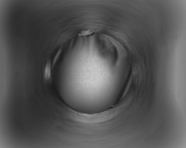 X0000089450046200706291451