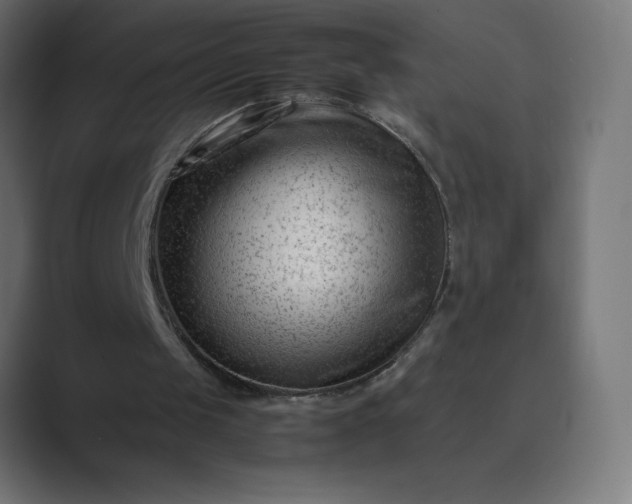 X0000089450049200706291450