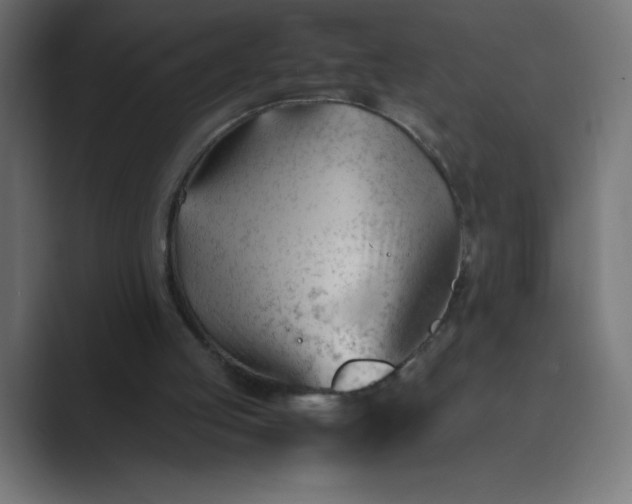 X0000089450053200706291450