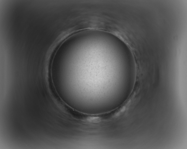 X0000089450055200706291450