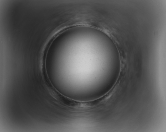 X0000089450056200706291450