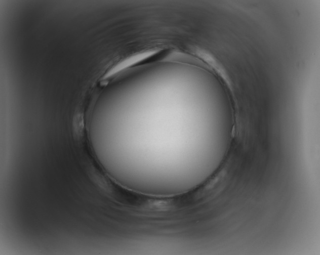 X0000089450057200706291450