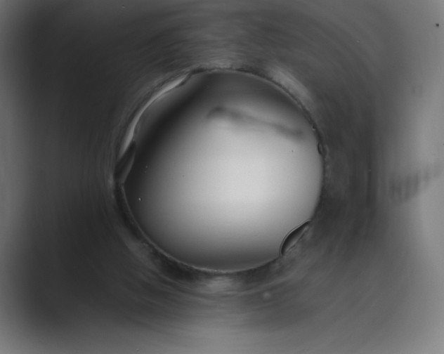 X0000089450058200706291450