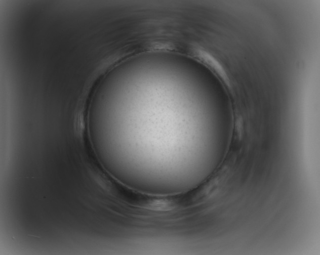 X0000089450059200706291450