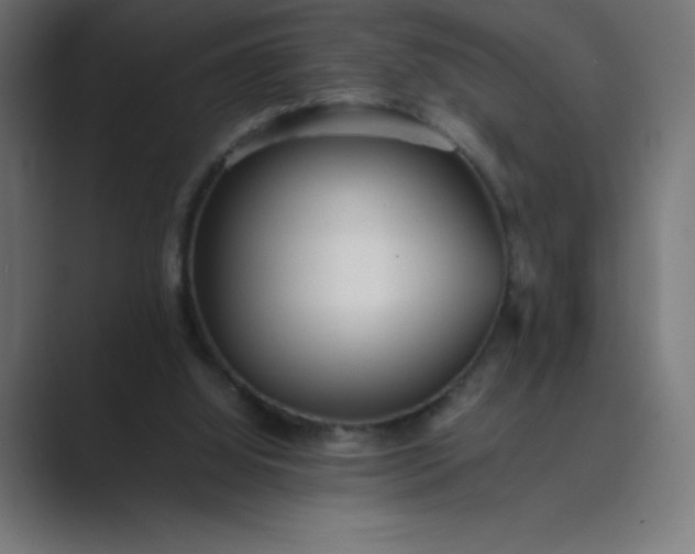 X0000089450060200706291450