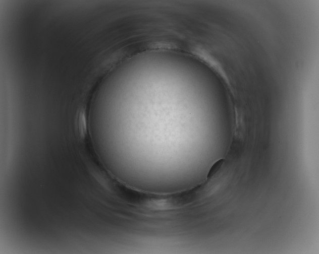 X0000089450061200706291450
