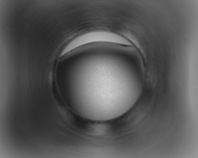 X0000089450063200706291451