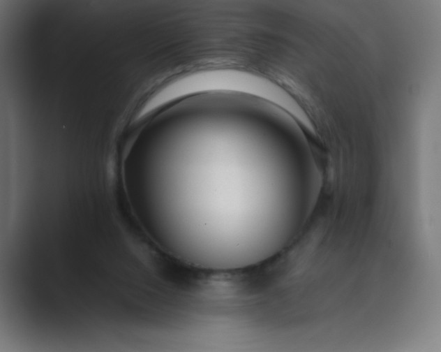 X0000089450064200706291451