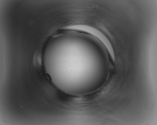 X0000089450068200706291451