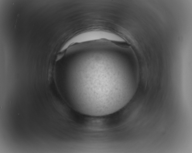 X0000089450073200706291451