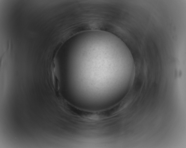 X0000089450075200706291451
