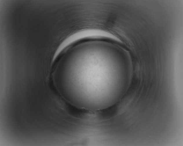 X0000089450076200706291451