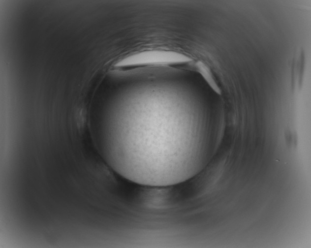 X0000089450081200706291451