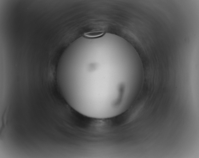 X0000089450083200706291451