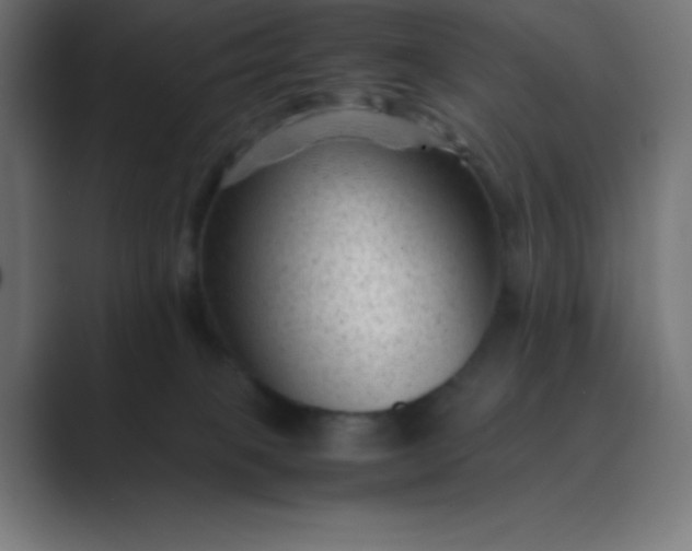 X0000089450085200706291451