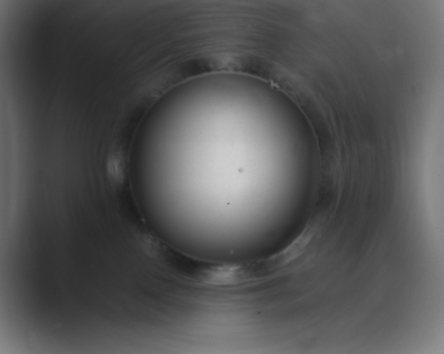 X0000089450090200706291451