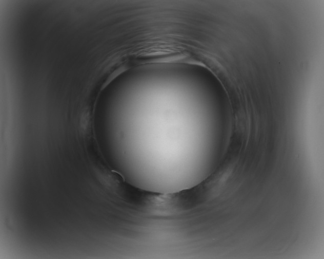 X0000089450092200706291451