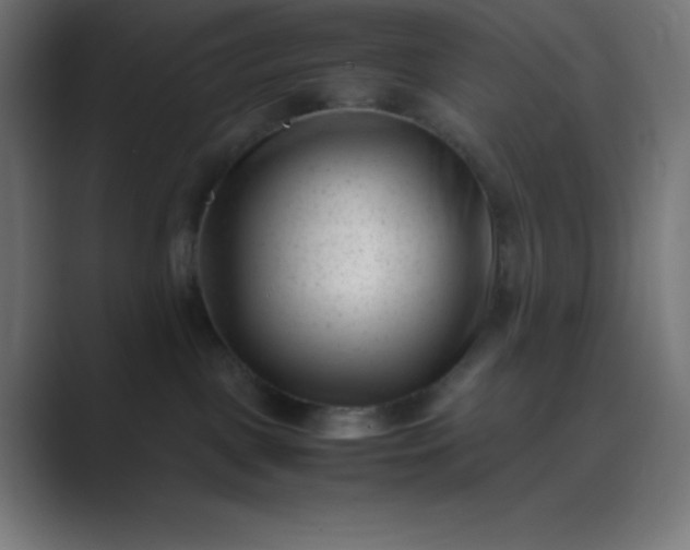 X0000089450093200706291451