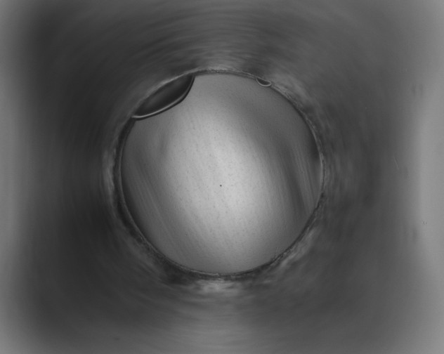 X0000089450098200706291450