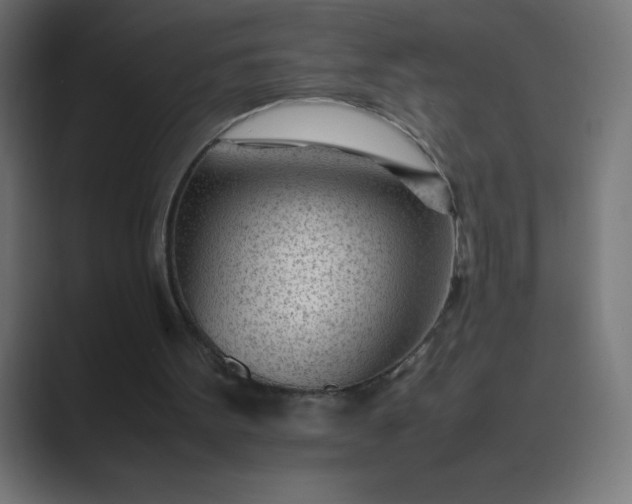 X0000089450099200706291450