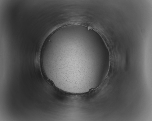 X0000089450100200706291450