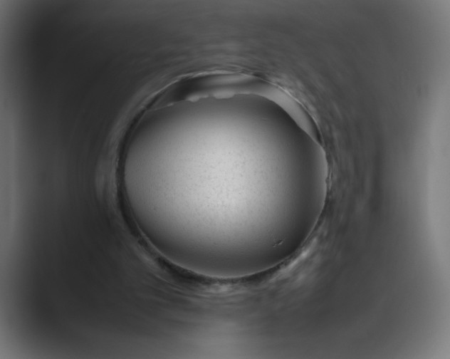 X0000089450101200706291450