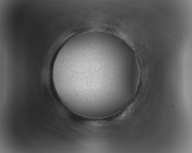 X0000089450103200706291450