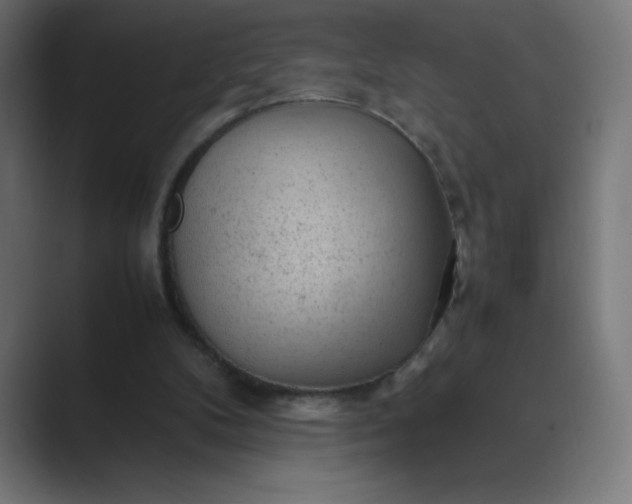 X0000089450104200706291450