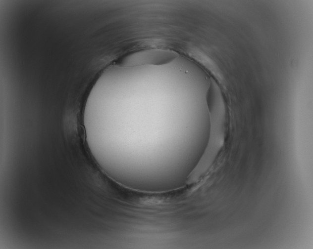X0000089450105200706291450