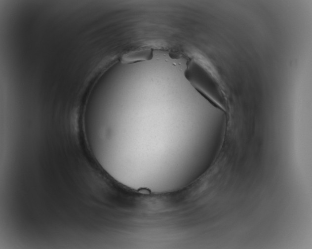 X0000089450106200706291450