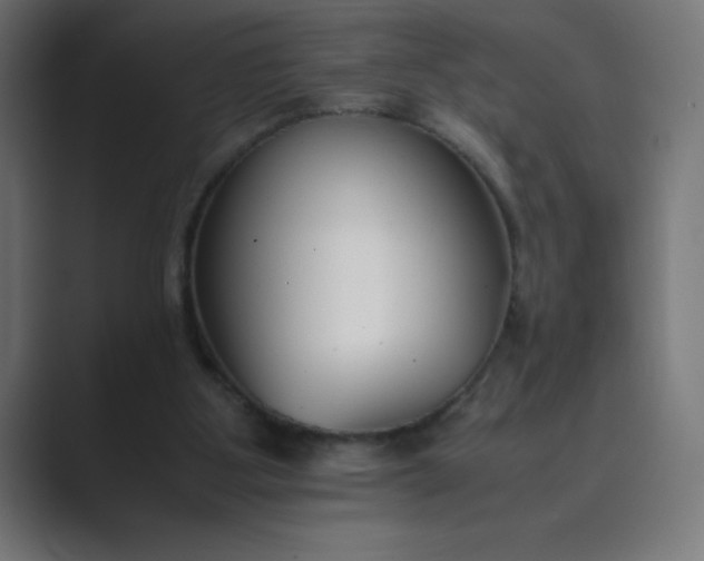 X0000089450107200706291450