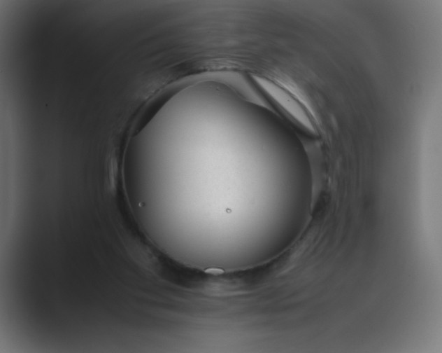X0000089450109200706291450