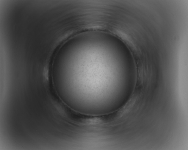 X0000089450112200706291450