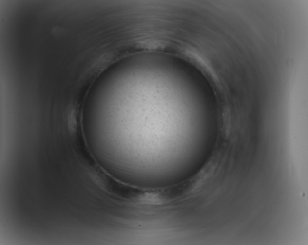 X0000089450114200706291450