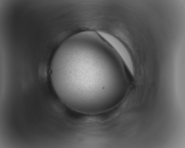X0000089450115200706291450