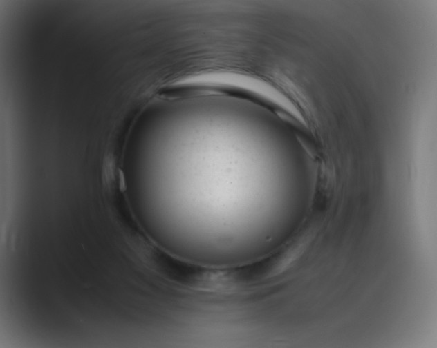 X0000089450117200706291450