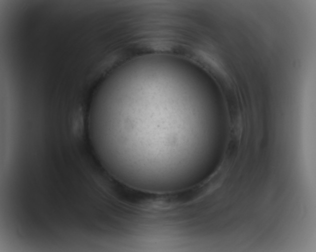 X0000089450120200706291450