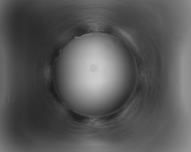 X0000089450121200706291450