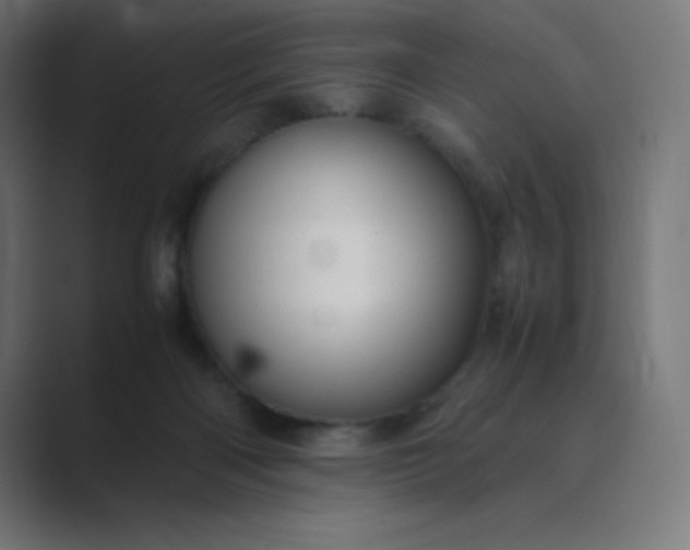 X0000089450122200706291450