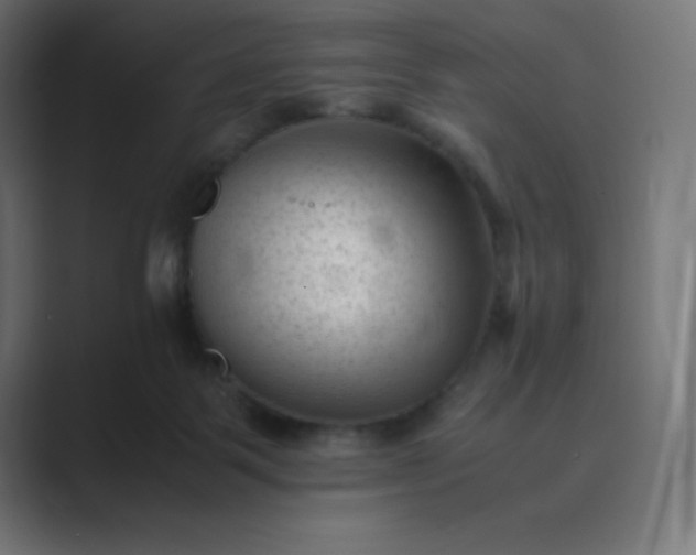 X0000089450123200706291450