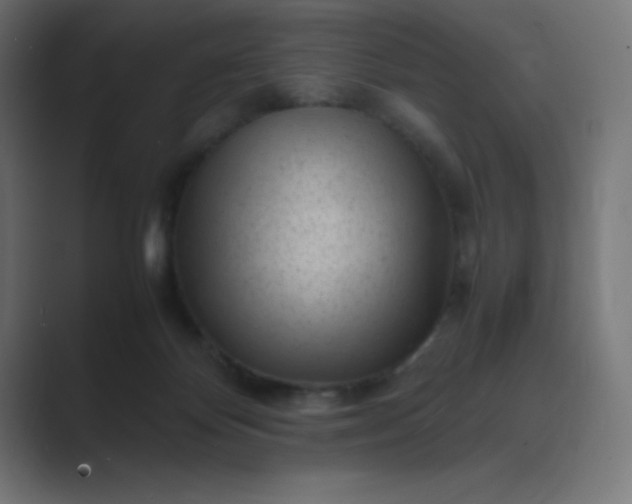 X0000089450124200706291450