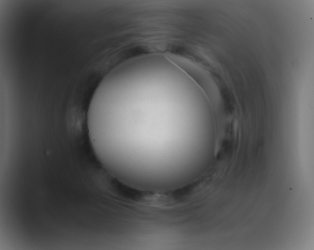 X0000089450125200706291450