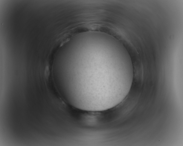 X0000089450128200706291450