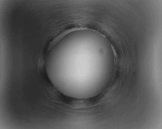 X0000089450129200706291450