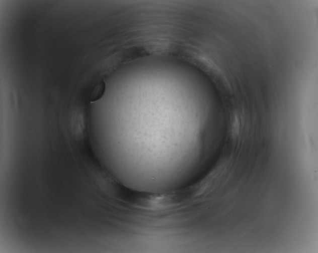 X0000089450130200706291450