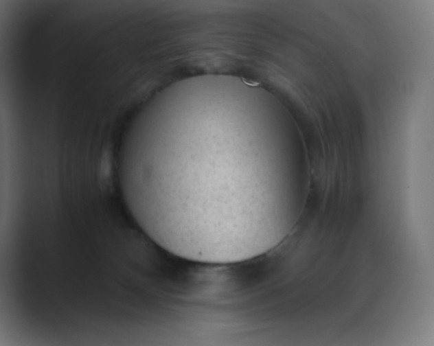 X0000089450132200706291450